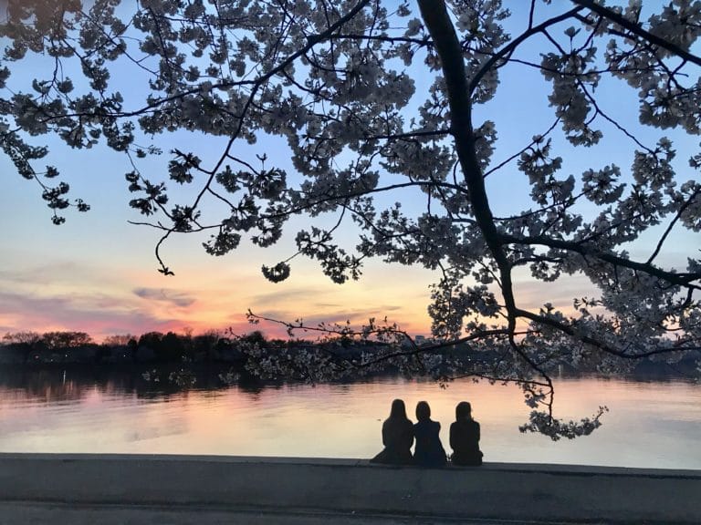sunset in D.C.