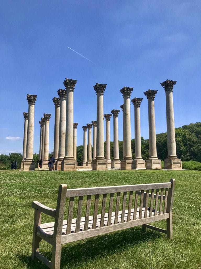 best places to sit in D.C.
