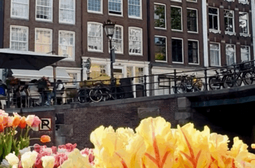 solo trip to Amsterdam